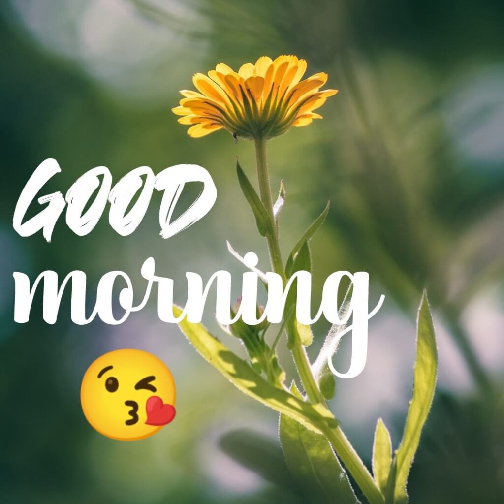 good morning images new download