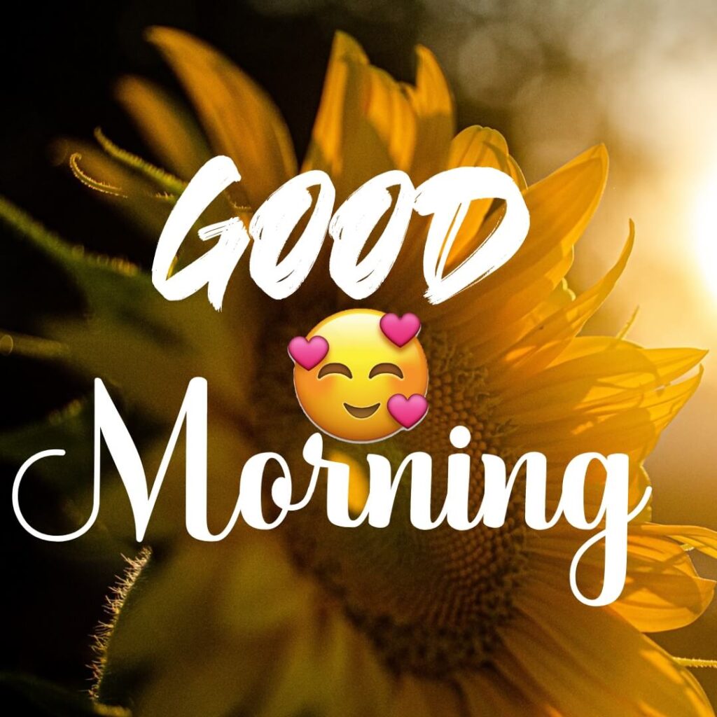 good morning images with flowers hd