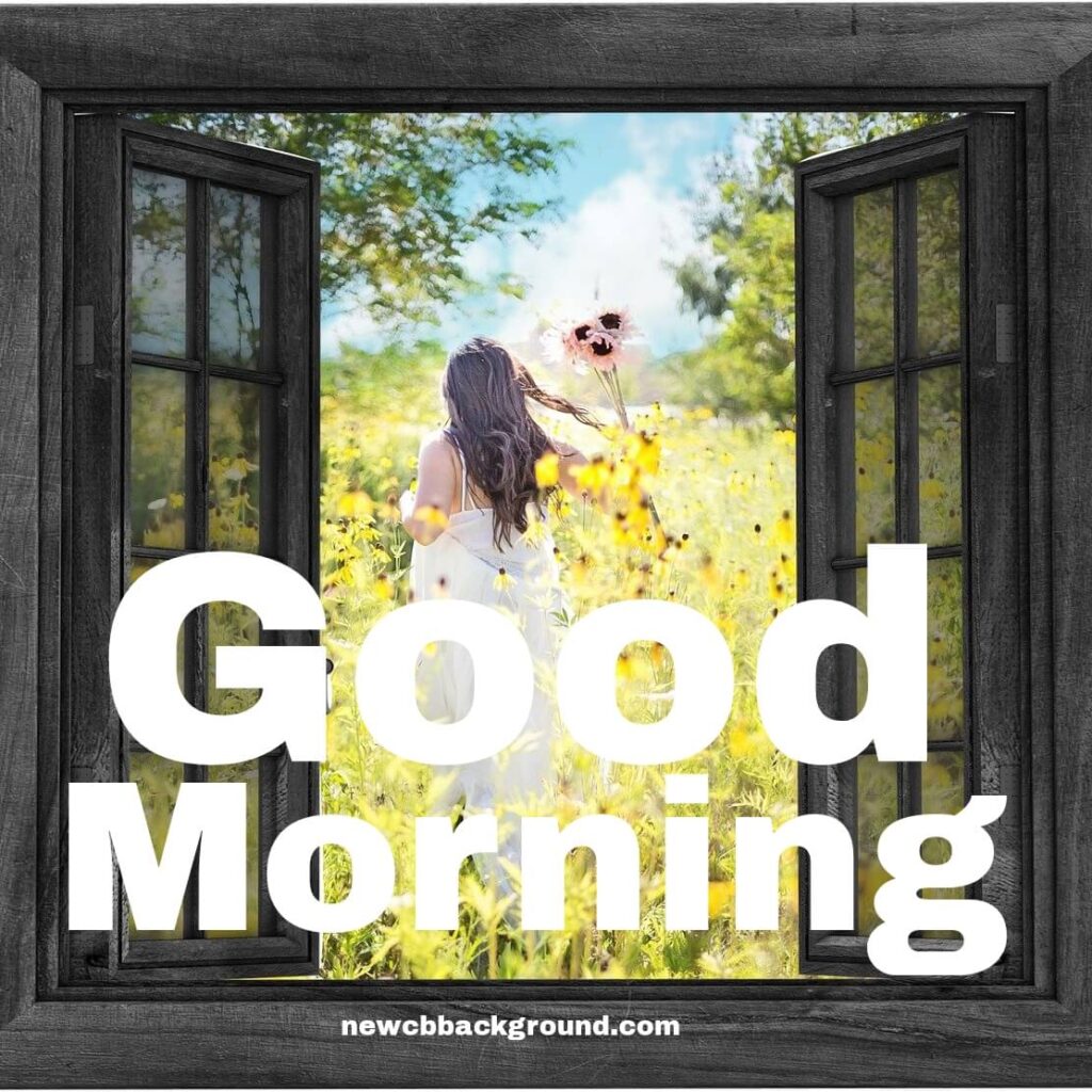 new beautiful good morning images