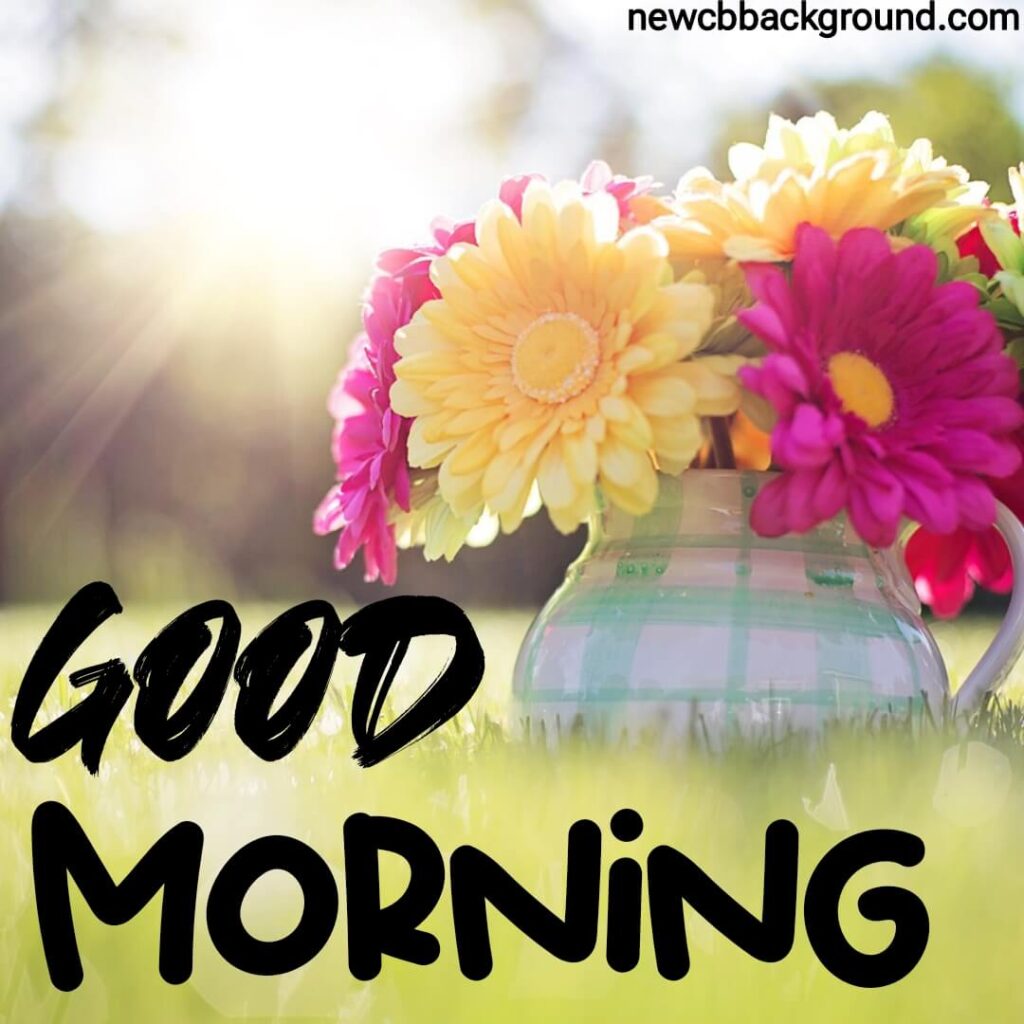 today special good morning images download